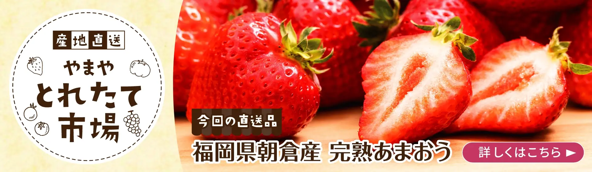 産地直送やまやとれたて市場【今回の直送品】福岡県朝倉産 完熟あまおう