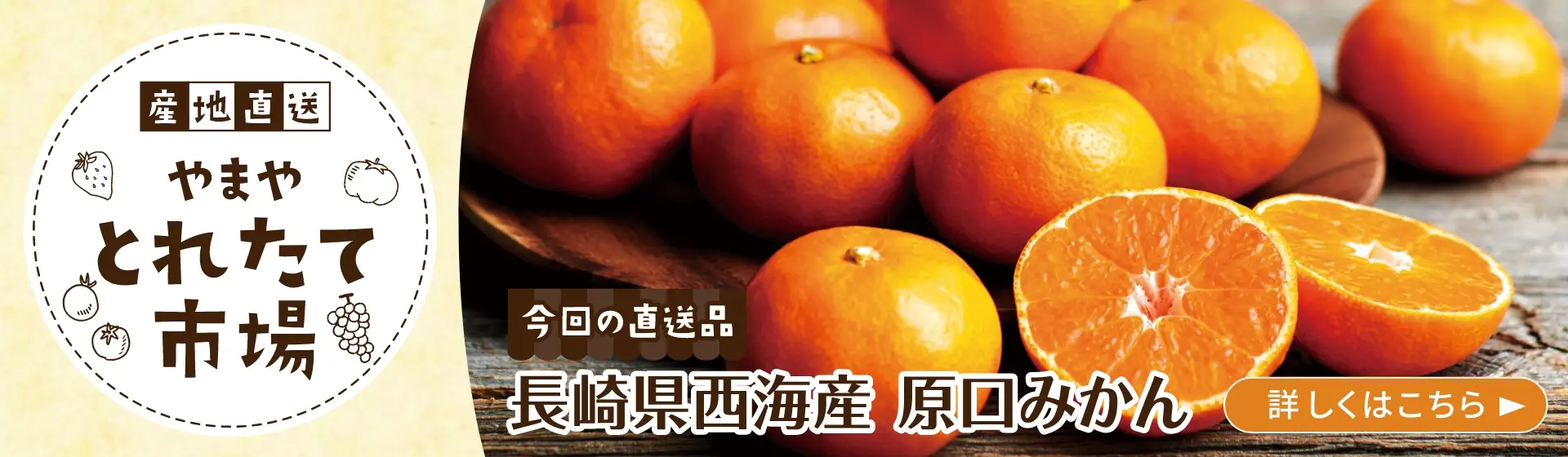 産地直送やまやとれたて市場【今回の直送品】長崎県西海産 原口みかん