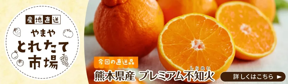 やまや とれたて市場 熊本県産プレミアム不知火