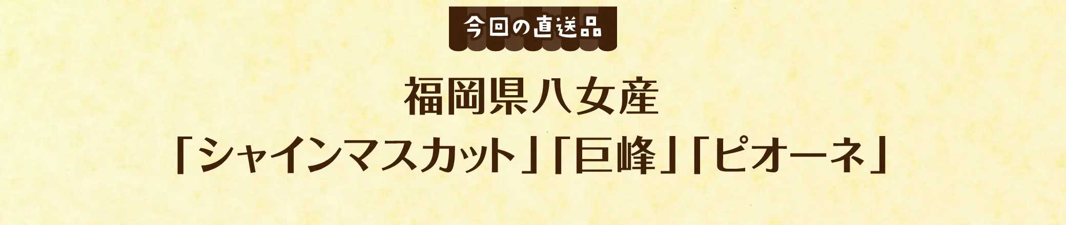 【今回の直送品】福岡県八女産「シャインマスカット」「巨峰」「ピオーネ」