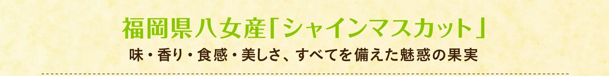 【糖度目安 約18度】福岡県八女産「シャインマスカット」：味・香り・食感・美しさ、すべてを備えた魅惑の果実