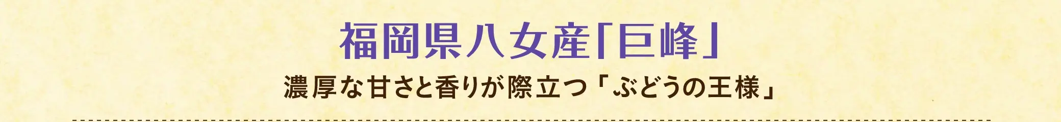 【糖度目安 約17度】福岡県八女産「巨峰」：濃厚な甘さと香りが際立つ「ぶどうの王様」