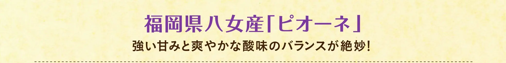 【糖度目安 約17度】福岡県八女産「ピオーネ」：強い甘みと爽やかな酸味のバランスが絶妙！