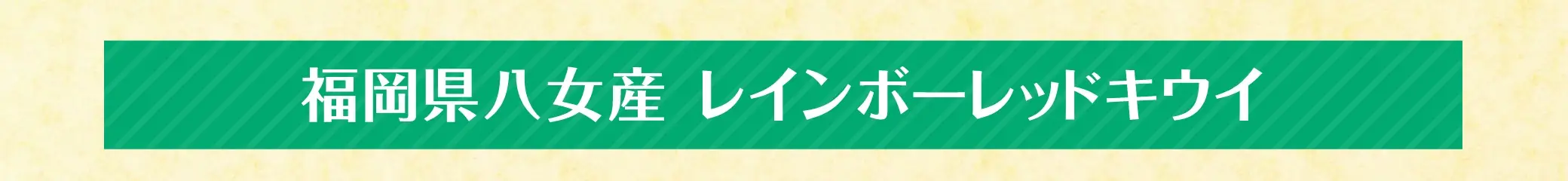 【糖度目安17度】福岡県八女産 レインボーレッドキウイ