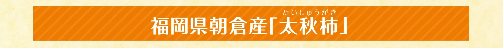 【糖度目安16度】福岡県朝倉産 太秋柿