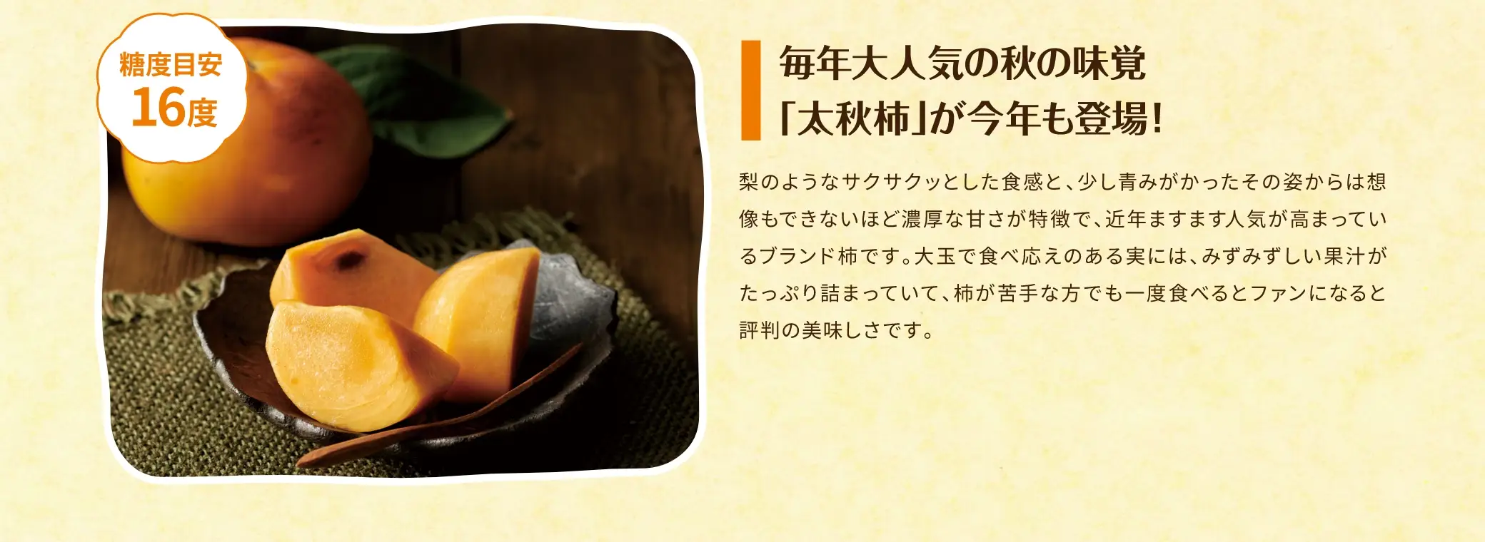 毎年大人気の秋の味覚「太秋柿」が今年も登場！：梨のようなサクサクッとした食感と、少し青みがかったその姿からは想像もできないほど濃厚な甘さが特徴で、近年ますます人気が高まっているブランド柿です。大玉で食べ応えのある実には、みずみずしい果汁がたっぷり詰まっていて、柿が苦手な方でも一度食べるとファンになると評判の美味しさです。