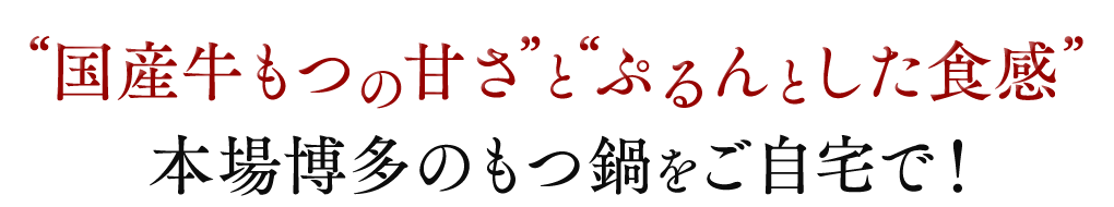 脂（あぶら）の甘さとぷるんとした食感 本場博多のもつ鍋をご自宅で！